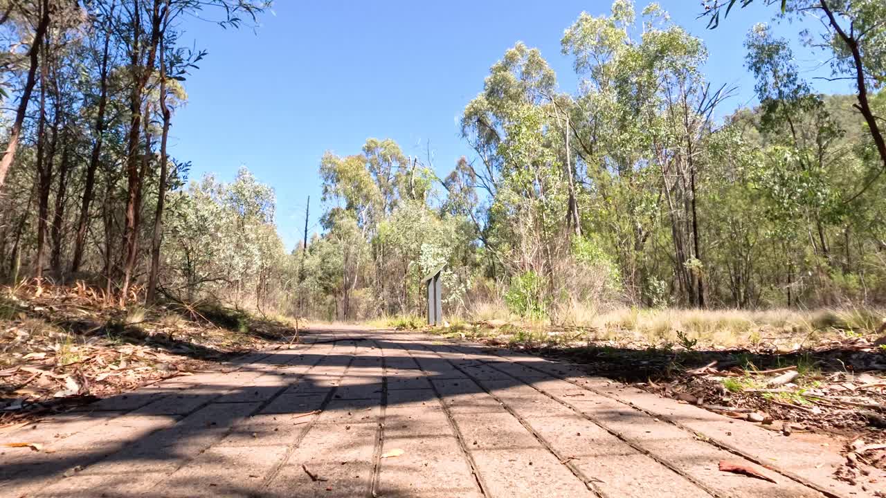 숲길 을 가로질러 조용 한 산책