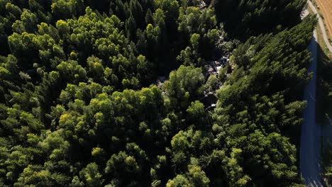 Drohne,-Die-über-Einen-Kleinen-Fluss-Fliegt,-Der-Durch-Einen-Wald-Läuft,-Mit-Einer-Straße,-Die-Sich-Zwischen-Dem-Wald-Und-Einem-Maisfeld-Windet