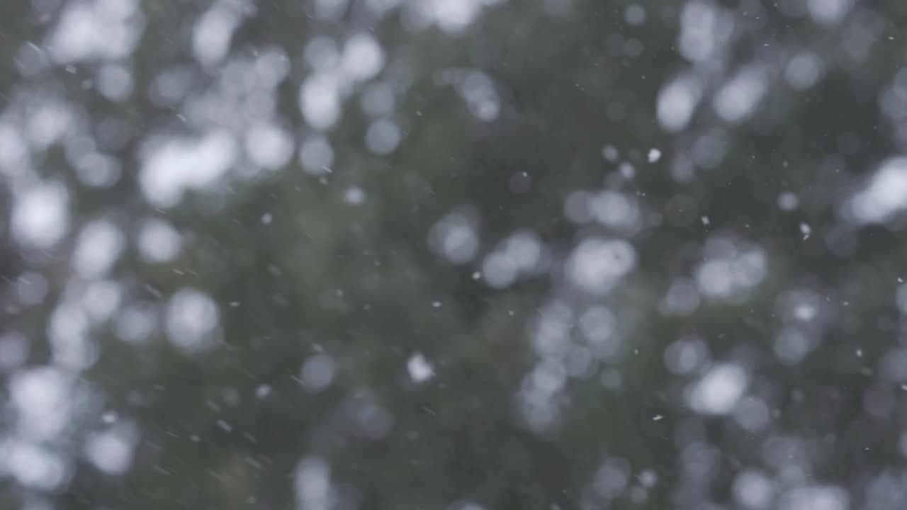 Snow Flurries Falling During A Winter Weather Storm