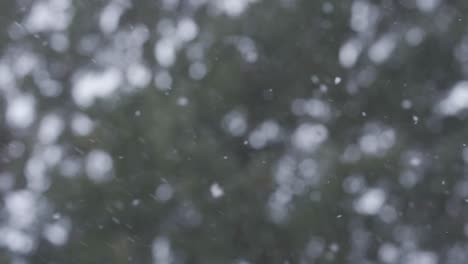 snow flurries falling during a winter weather storm