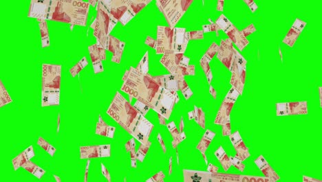 1000 hong kong dollar notes falling green screen