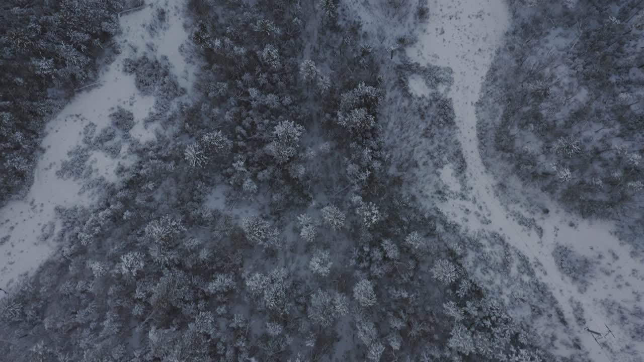 Grown in ski trails and defunct lift near the top of a snow crusted mountain AERIAL TOPDOWN