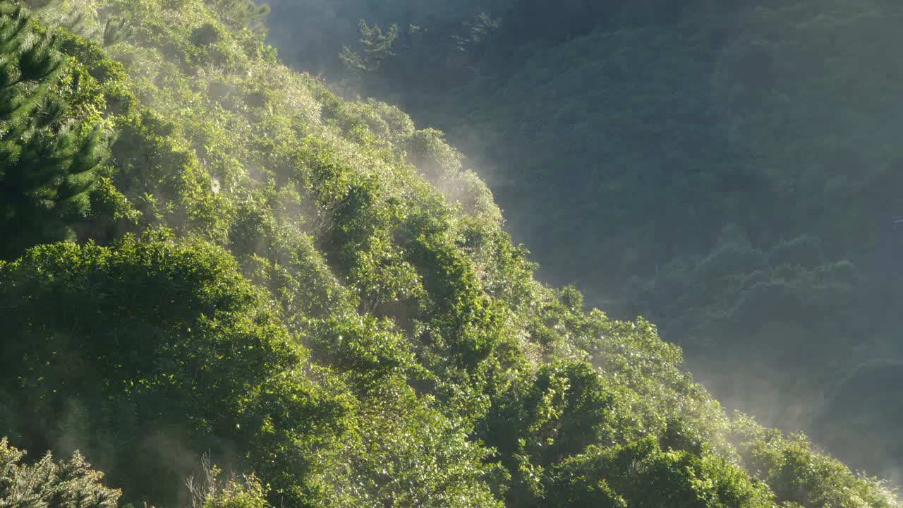 la helada se evapora en la luz del sol de la mañana en el lado soleado de un valle