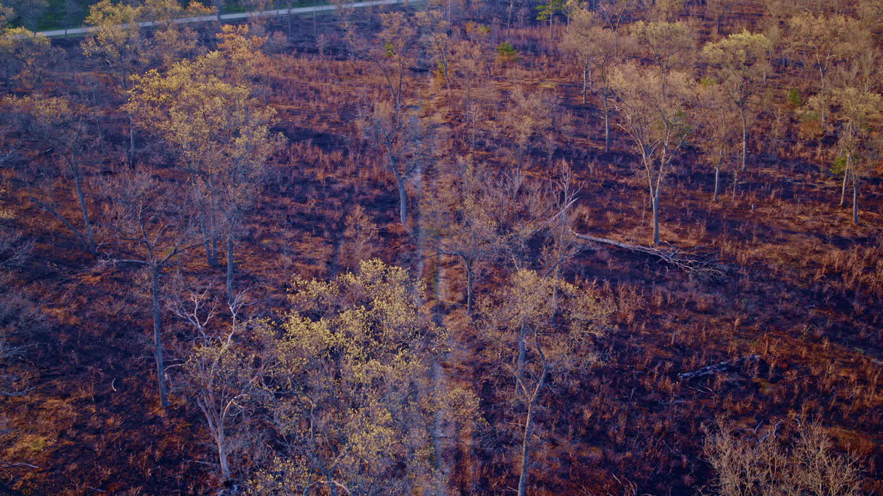 높은 고도에서 촬영된 영상으로 화재의 파괴를 보여줍니다.
