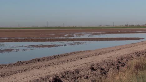 pan shot of flood irrigation in california, usa