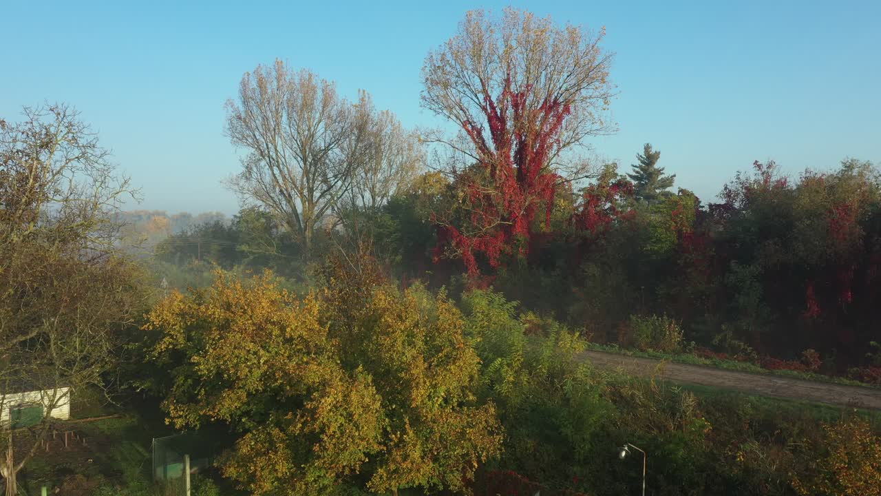 아침 일찍 물 위에 떠다니는 안개 풍차 집, 숲 속의 주말 휴양지