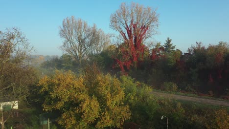early morning mist floating over water windmill houses, weekend resort in woodland