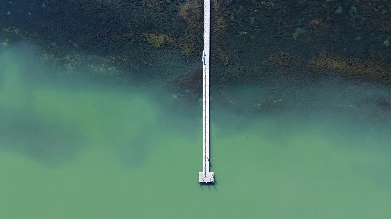 Drone aerial landscape of Long Jetty fishing boardwalk wharf pier dock bridge in Tuggerah Lake river water inlet with seaweed sandbar Central Coast tourism Australia travel tourism outdoors nature
