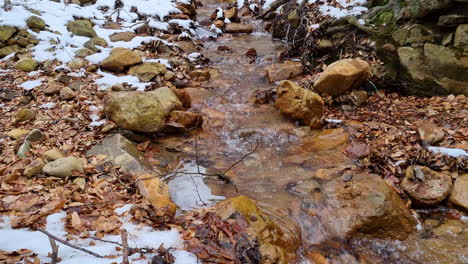 small creek water stream in the woods on a snowy winter day