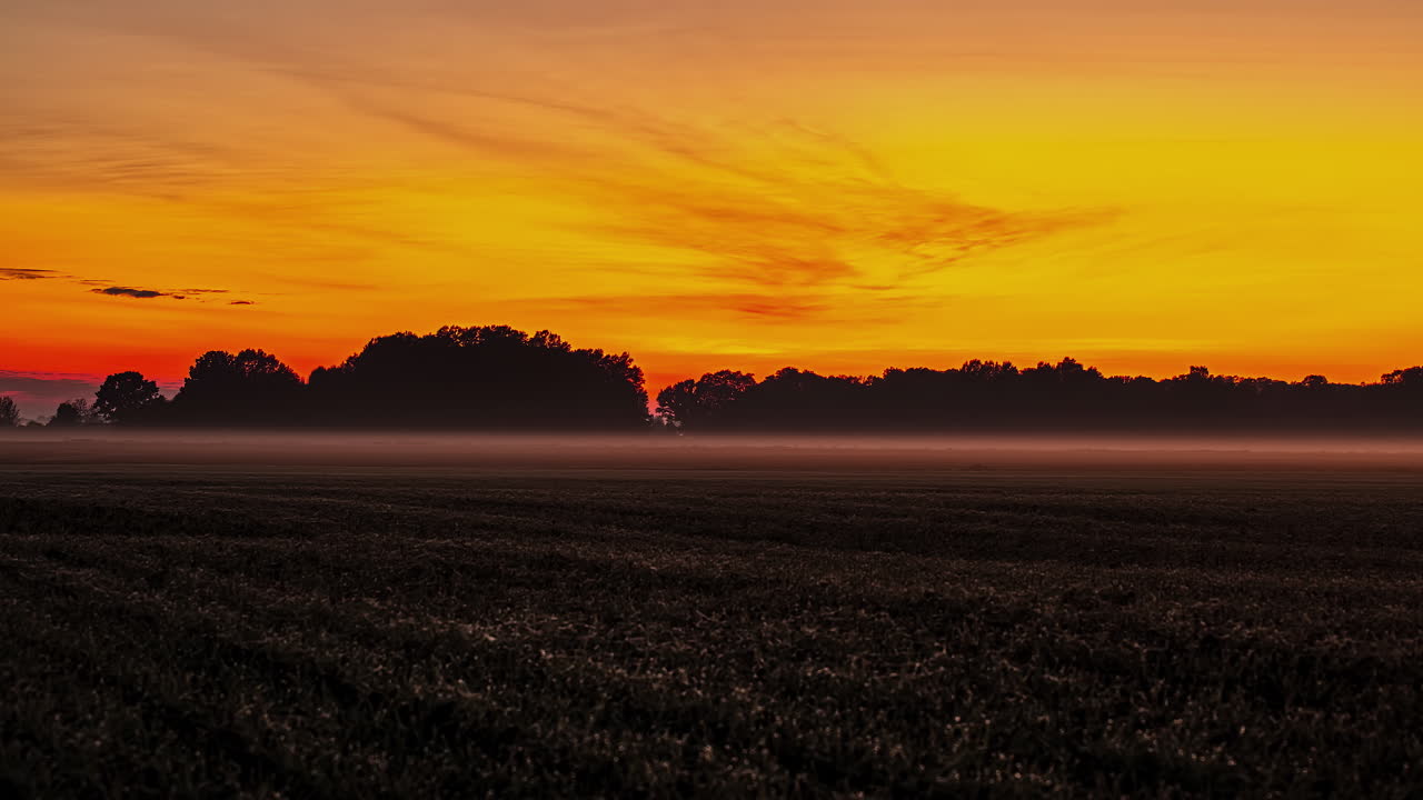 농지 위에 낮은 안개가 낀 황금빛 일몰 - 시간 경과