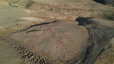 aerial desert landscape with goat and sheep herd at dusk