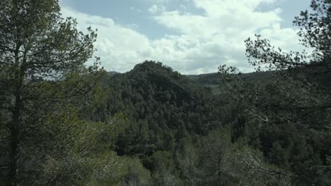 mountain range densely covered with verdant forest, featuring rocky terrain and cloudy sky, revealing lush landscape stretching across scenic wilderness under natural daylight