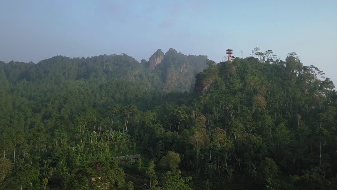 Ripresa con drone di una collina e una scogliera ricoperte da una fitta foresta al mattino con tempo leggermente nebbioso.