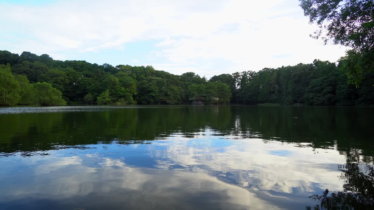 도쿄에는 매우 큰 공원이 많이 있습니다