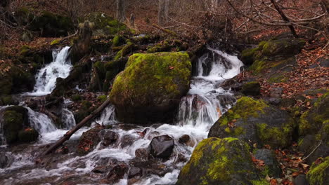 double waterfall with moss covered boulders on falls creek in chugach state park in late autumn near anchorage alaska