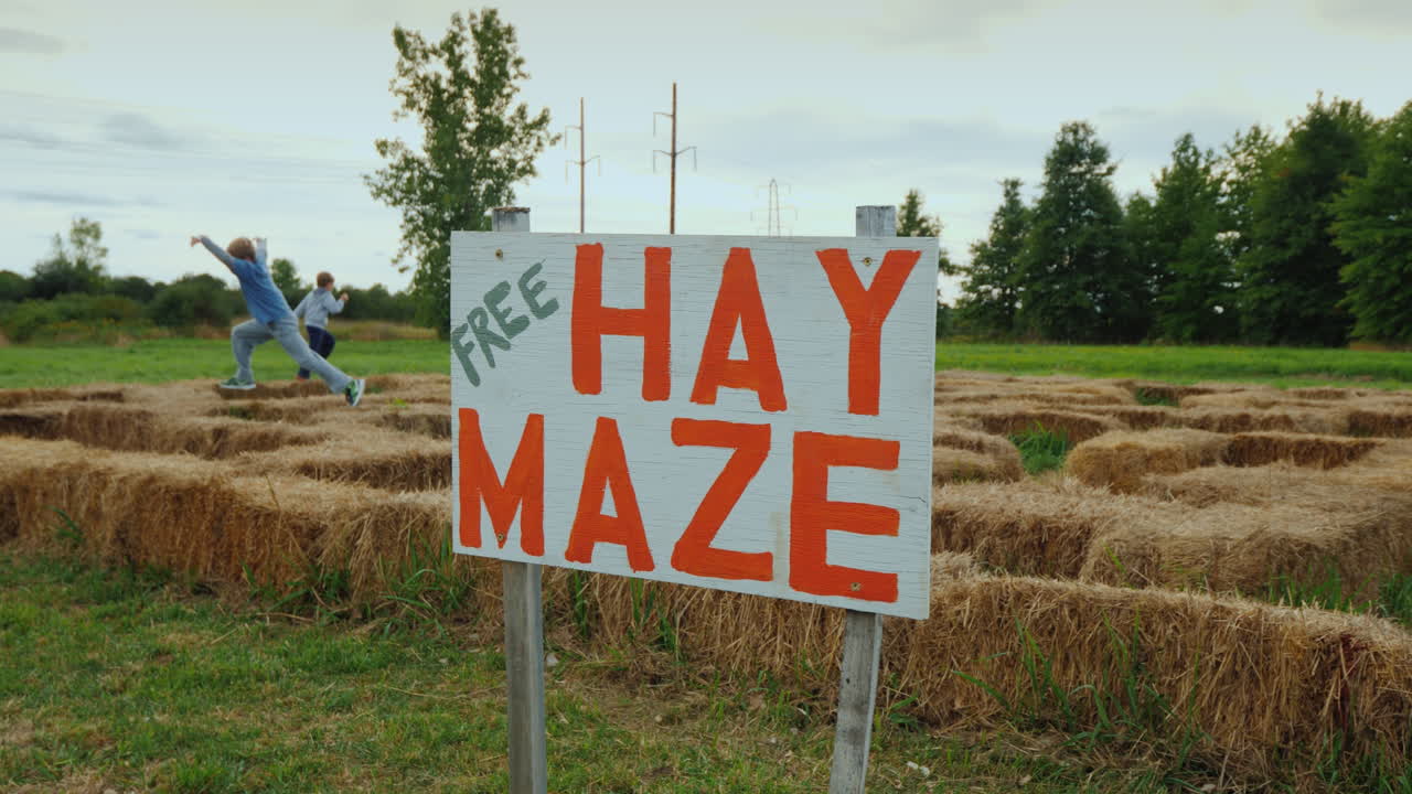 아이들은 건초의 자유로운 미로에서 dognicks를 재생합니다