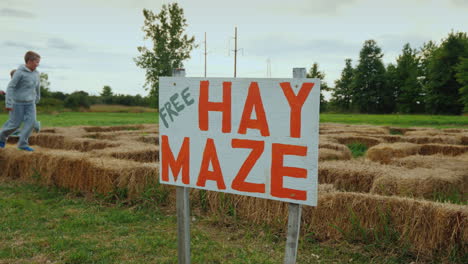 Niños-Play-Dognicks-In-A-Free-Maze-Of-Hay
