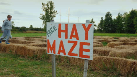 children play dognicks in a free maze of hay