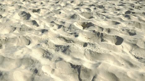 white sand beach - footprints - tracks - palm beach, gold coast, australia