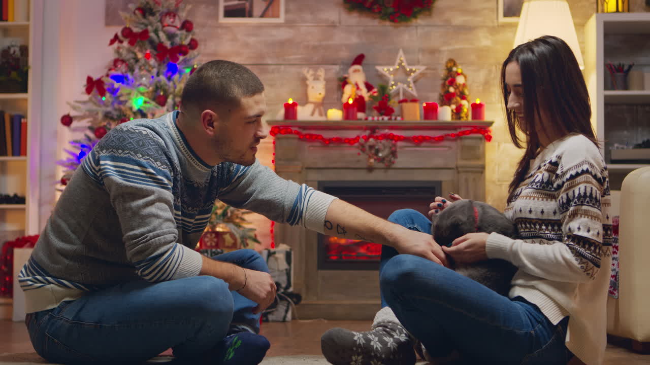 un joven guapo jugando con un gato.