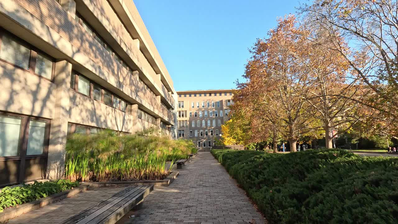 Sentiero attraverso il parco con alberi ed edifici