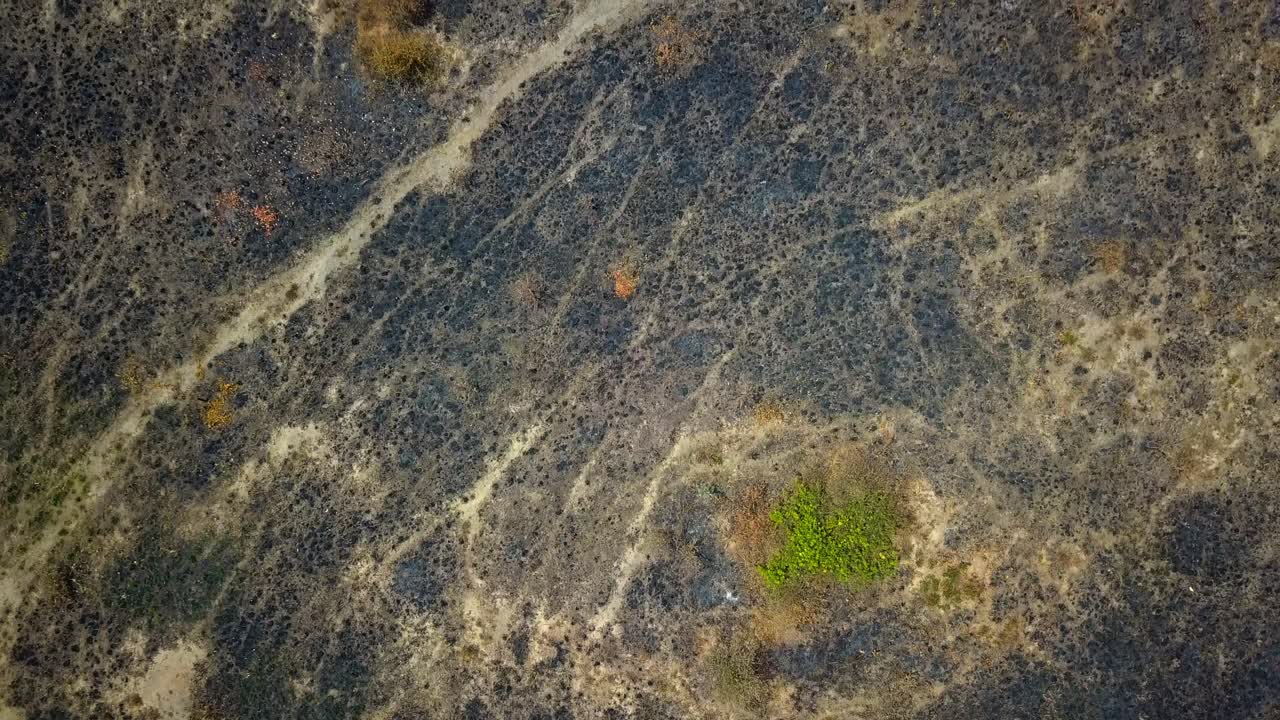 Burnt African grassland spreads beneath the drone, scorched earth and sparse green vegetation in Murchison National Park, Uganda, revealing post-wildfire impact and natural resilience