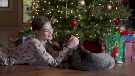 adorable siberian husky puppy licks the face of blonde girl under christmas tree