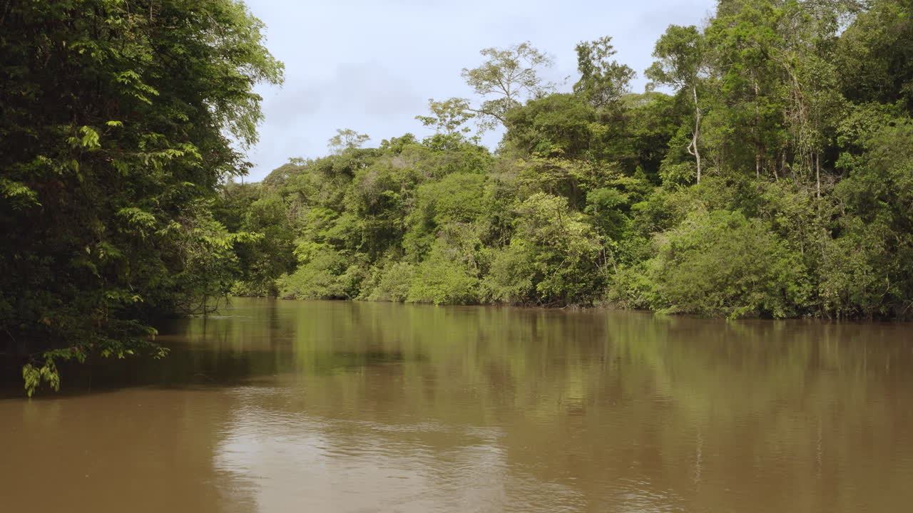 Smooth drone footage flying low above muddy Amazon river, winding through lush green jungle. Dense rainforest canopy, tropical wildlife setting, serene adventure vibe under clear daylight skies.