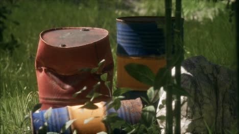 rusty barrels in green forest