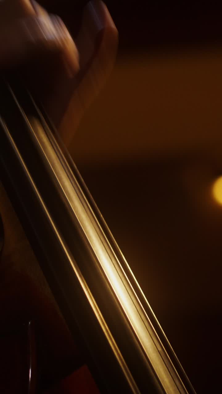 Primo piano di un contrabbassista