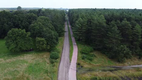 aerial above bicycle lane through the alpine forest in lommel, belgium