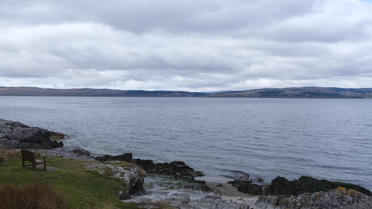 viendo un grupo de delfines desde la costa nadando y jugando en la isla de aran, al oeste de escocia, reino unido