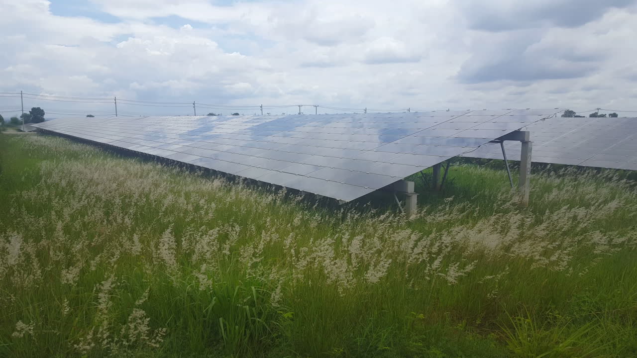 태양열 농장에서 청정 에너지를 생산하는 조용하고 조용한 태양광 모듈과 들판에서 바람에 흔들리는 잔디