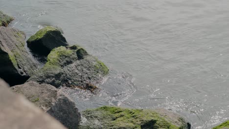 Seawater-Splashing-on-Mossy-Rocks