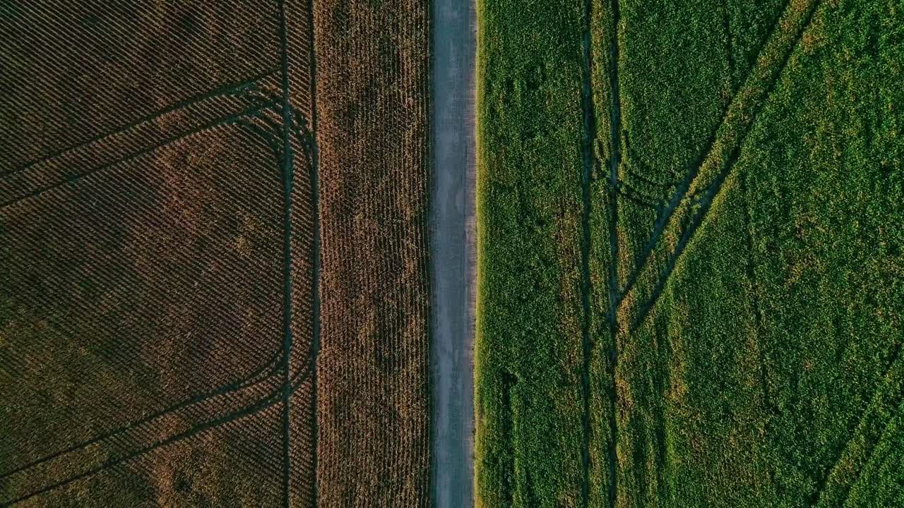 Brazilian economy, food resources, international soya plant exports