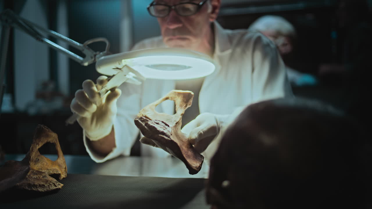 Paleontologist Examining Fossil Bones