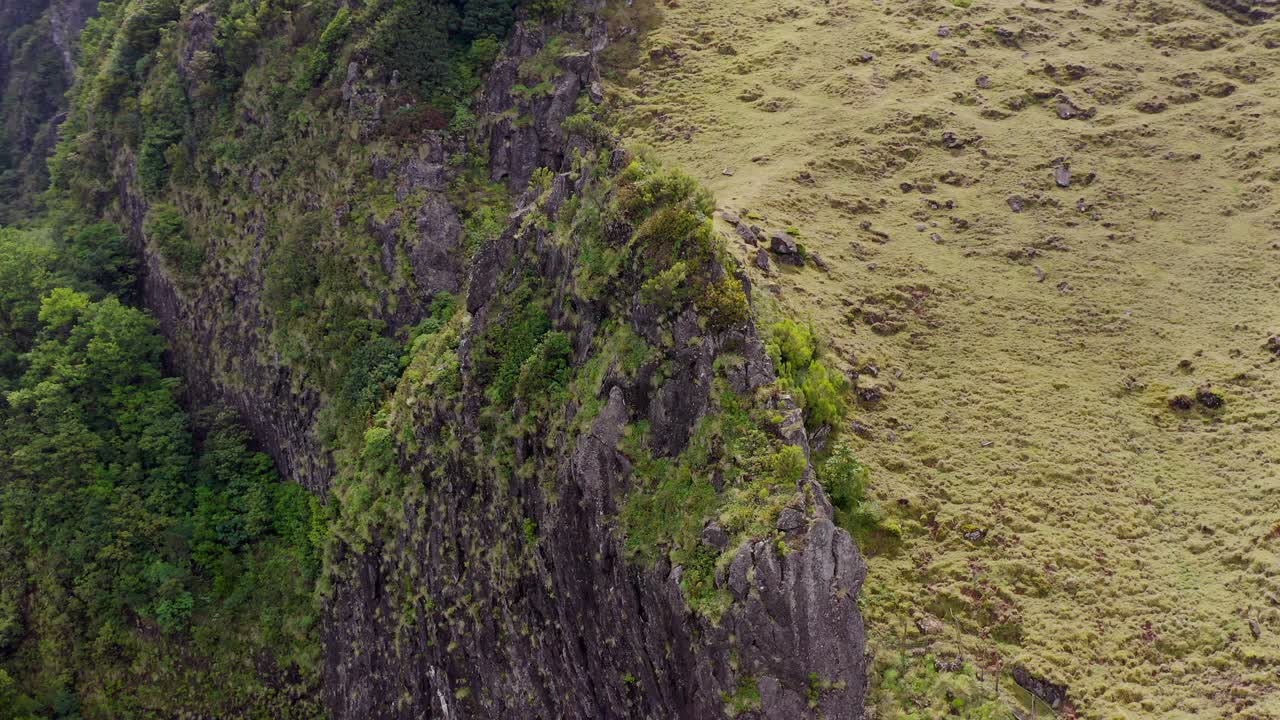 vista aérea del bosque fanal en madeira