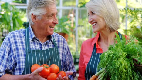 mature couple checking tomatoes