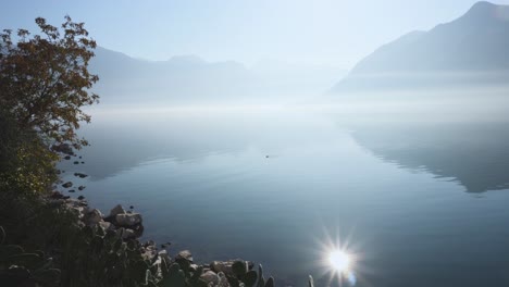 Vogelland-Im-Wasser,-Neblige-Bucht-Von-Kotor---Montenegro