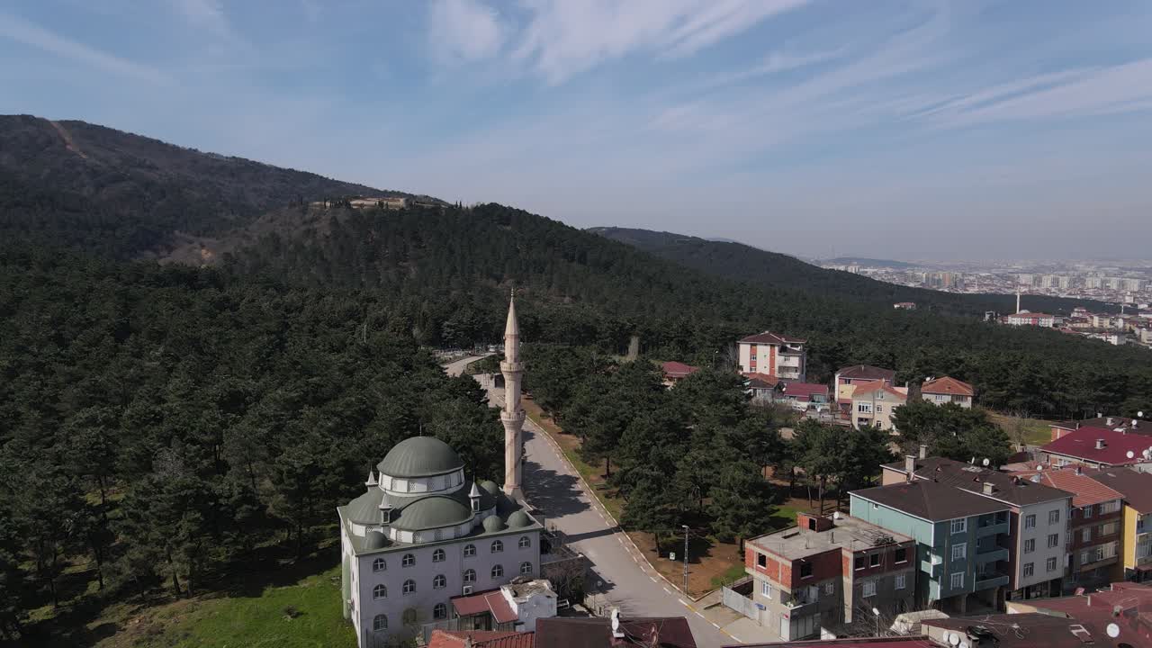 이슬람 사원 숲