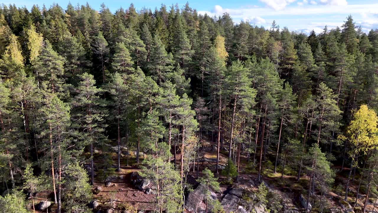 Luftbild tagen med drönare som klättrar, från en skogssjö till ett brett landskap med ständigt grön skog i Noux nationalpark i Finland