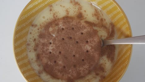 zoom in on traditional spanish natillas custard with galleta maria and cinnamon in a decorative bowl