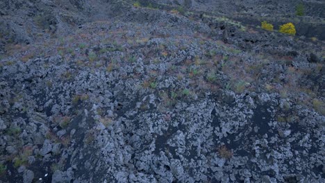 Paisaje-Volcánico,-Contraste-Entre-Rocas-Grises-Y-Rica-Vegetación