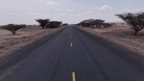 vuelo bajo a lo largo de la carretera del desierto de marca en turkana kenya