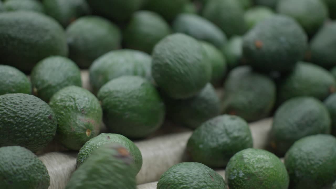 primer plano de los aguacates rodando en una casa de embalaje en michoacan méxico