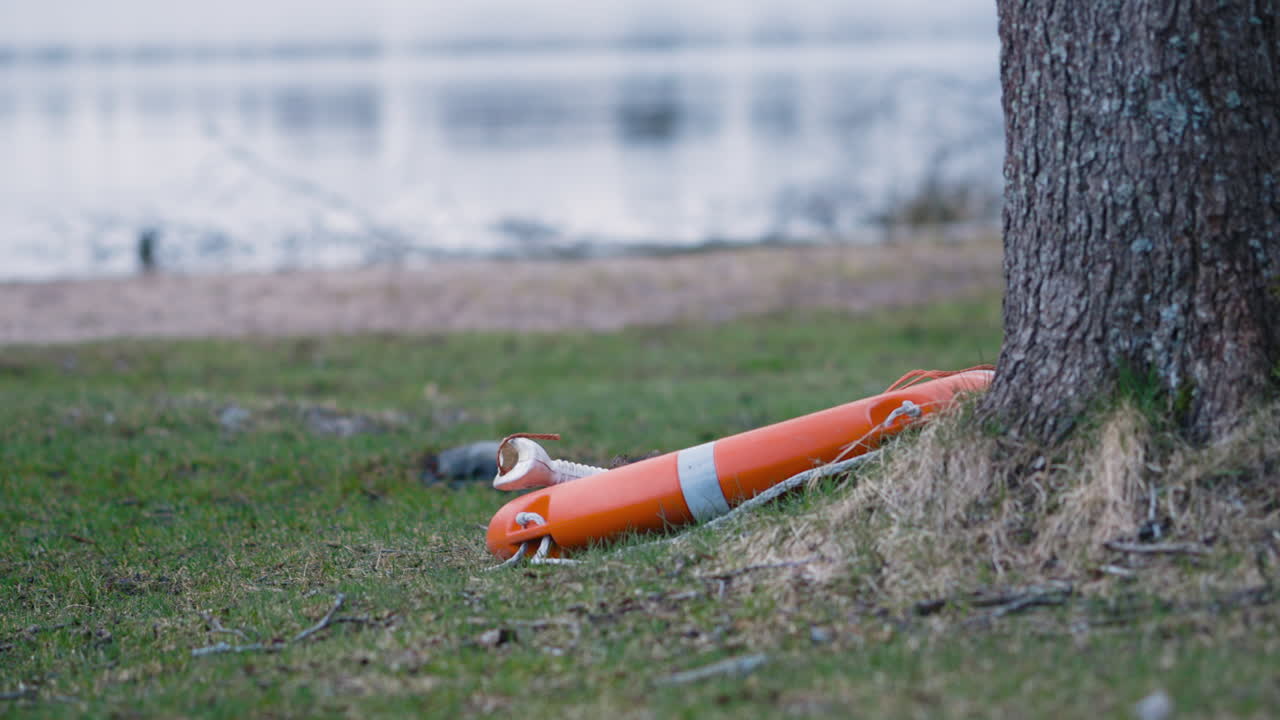잔잔한 물과 모래사장 근처의 나무 옆 풀밭에 있는 구명부표의 느린 팬