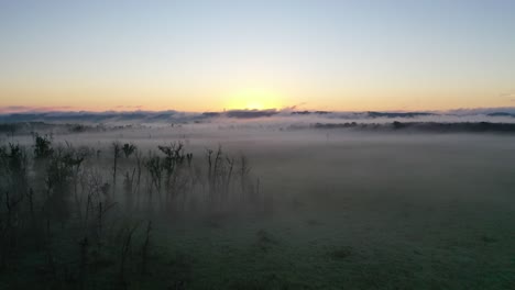 misty sunrise over a wetland landscape