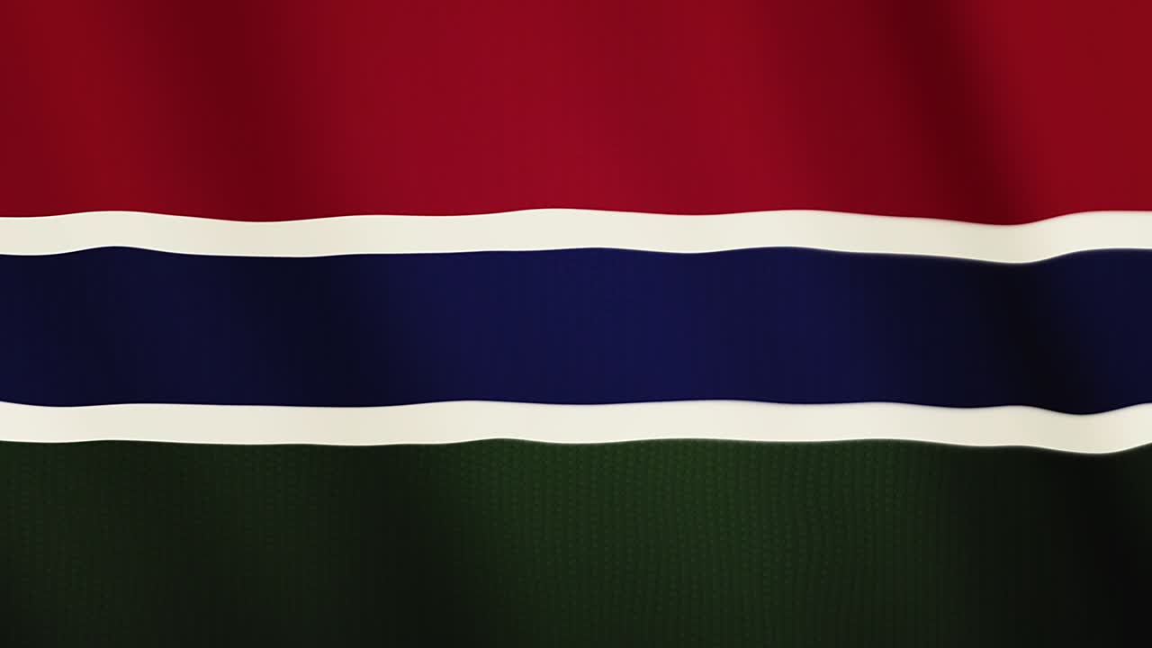 감비아 발을 흔들고 있는 애니메이션. 전체 화면. 국가의 상징