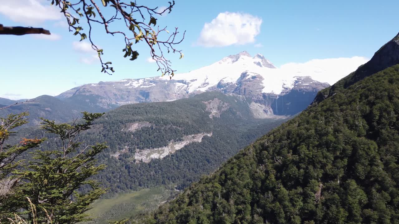 Shifting foreground forest perspective reveals snowy mountain peak