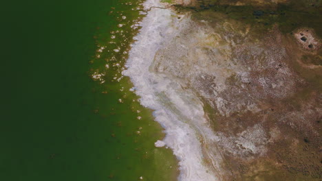 aquamarine water in the salty lake. white saline scurf covering the wide line on the shore. bare waterfront with no vegetation on. top view.